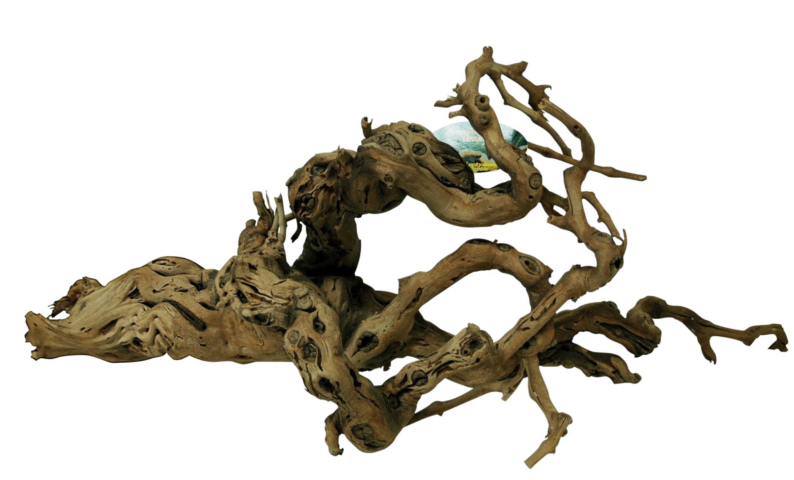 lucky-reptile-rebholz-terrarium-deko-holz-gr-e-mittel image 4