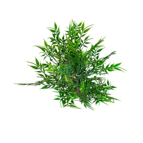 lucky-reptile-64702-bambusb-schel-terrarium-kunstpflanze-25-cm-210-g image 6
