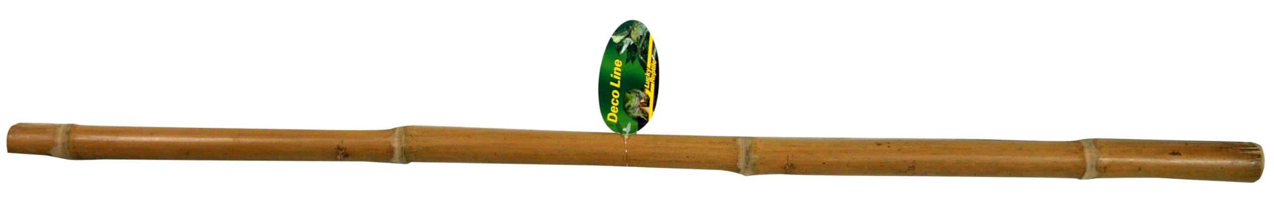 lucky-reptile-bambusstange-1-m-durchmesser-bis-5-cm-terrariendeko image 2