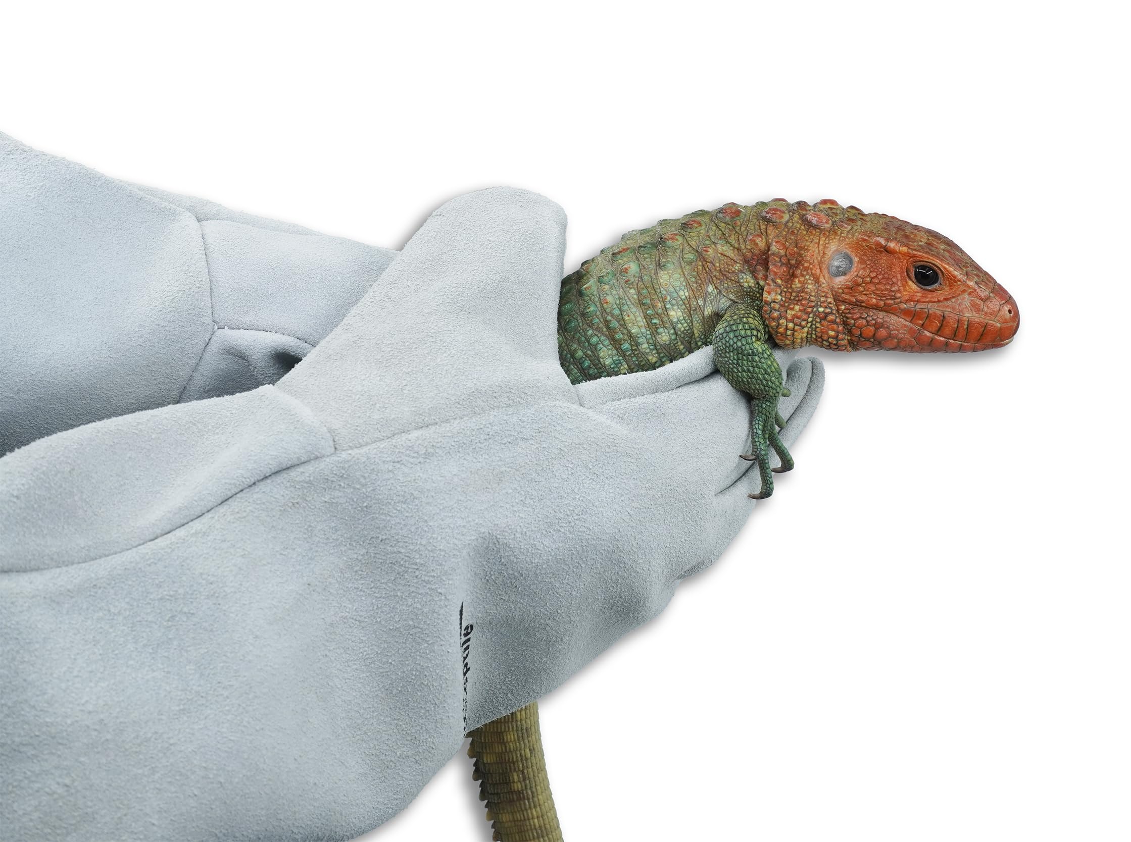 lucky-reptile-schutzhandschuh-leder-grau-rechtsh-nder image 5