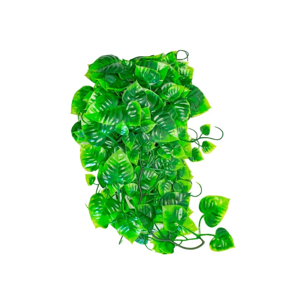 lucky-reptile-64566-philo-terrarium-h-ngepflanze-150-g-extra-dicht image 1
