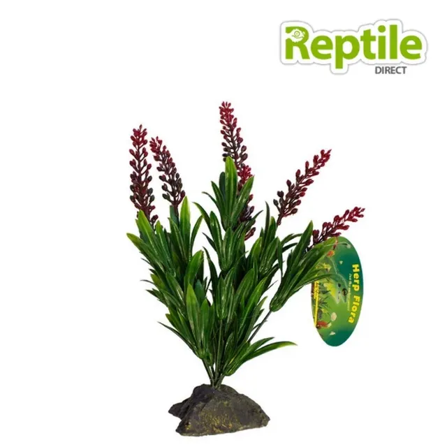 lucky-reptile-tiger-aloe-kunstpflanze-ca-8-cm-auf-steinsockel image 1