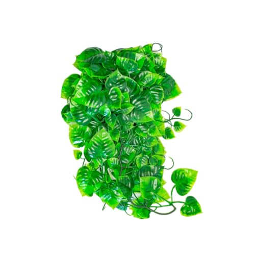 lucky-reptile-64566-philo-terrarium-h-ngepflanze-150-g-extra-dicht image 3