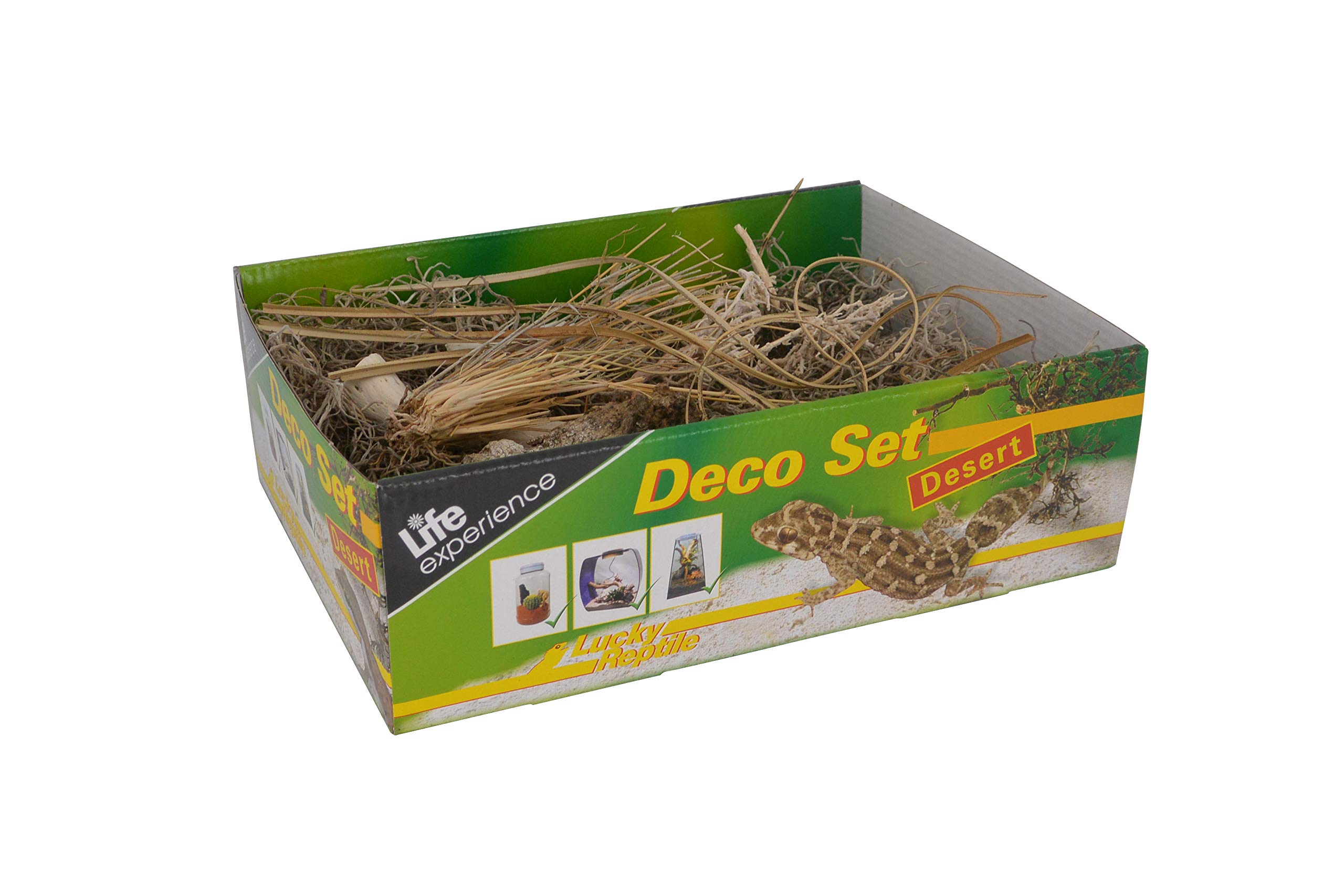 lucky-reptile-life-experience-deco-set-w-ste-terrarium-deko image 1