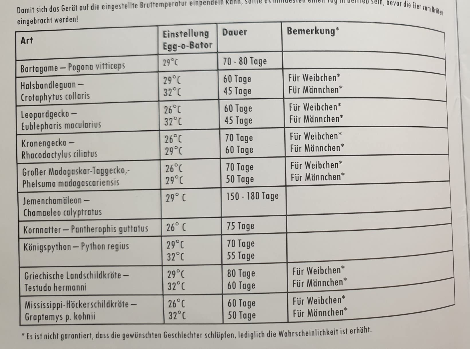 Gut für den Einstieg