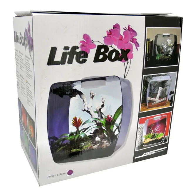 lucky-reptile-lb-30op-life-box-30-designterrarium-acrylglas-beere-30x18x30-cm image 1
