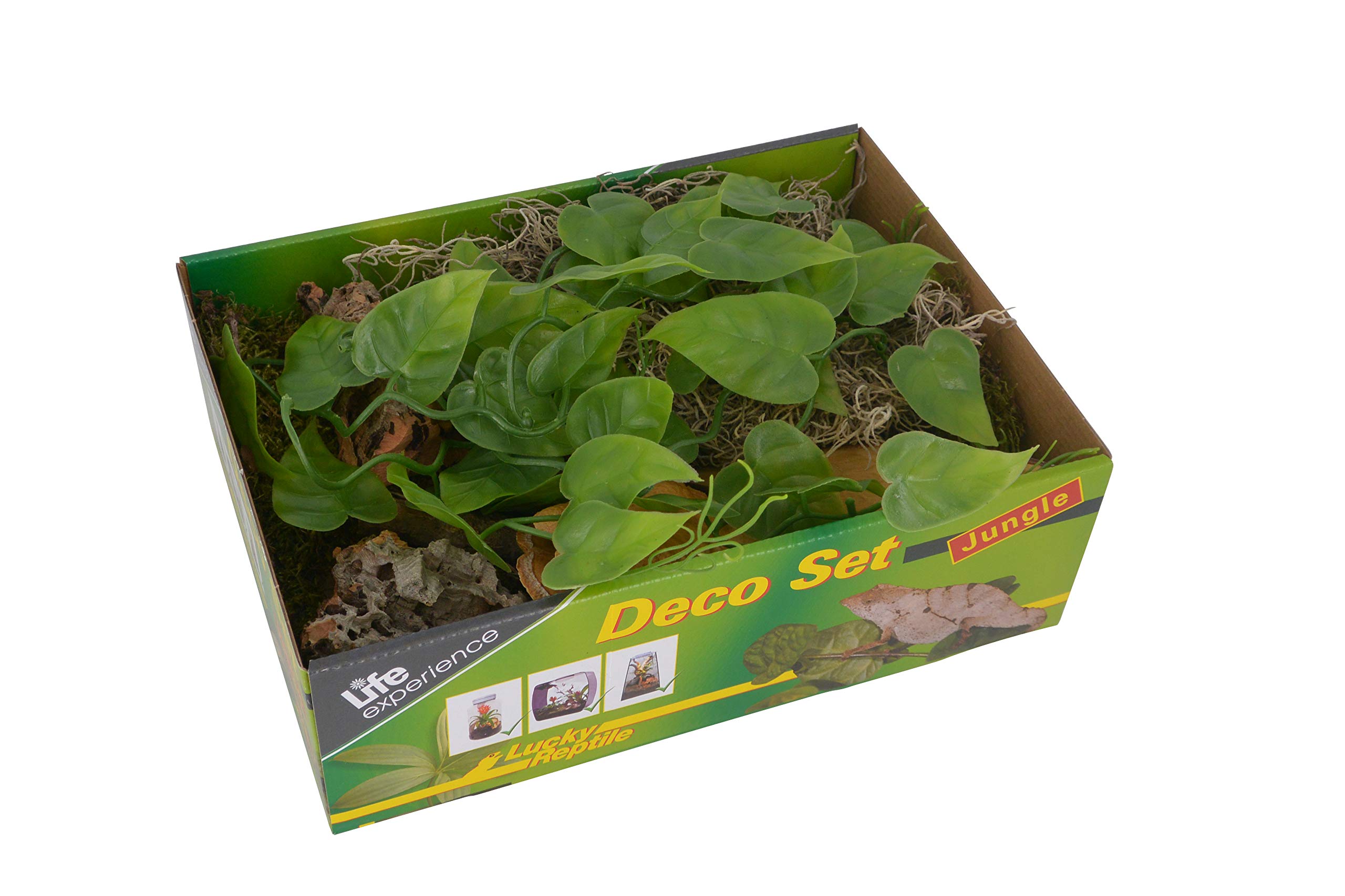 lucky-reptile-life-experience-deco-set-w-ste-terrarium-deko image 5