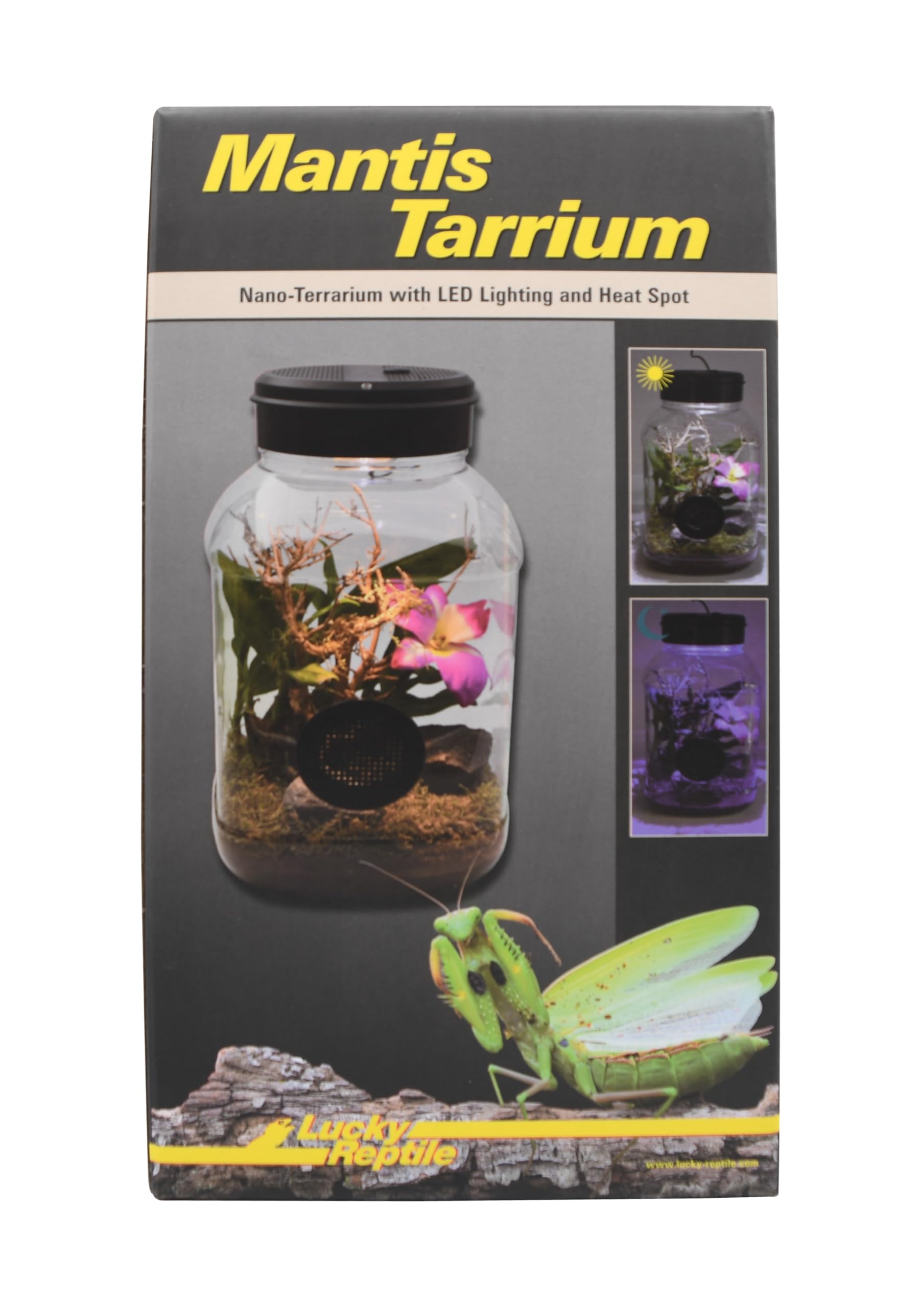 lucky-reptile-mantistarrium-kleinterrarium-18-x-18-x-35-cm-f-r-gottesanbeterinne image 2