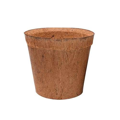 lucky-reptile-coco-planter-kokos-pflanztopf-klein image 5