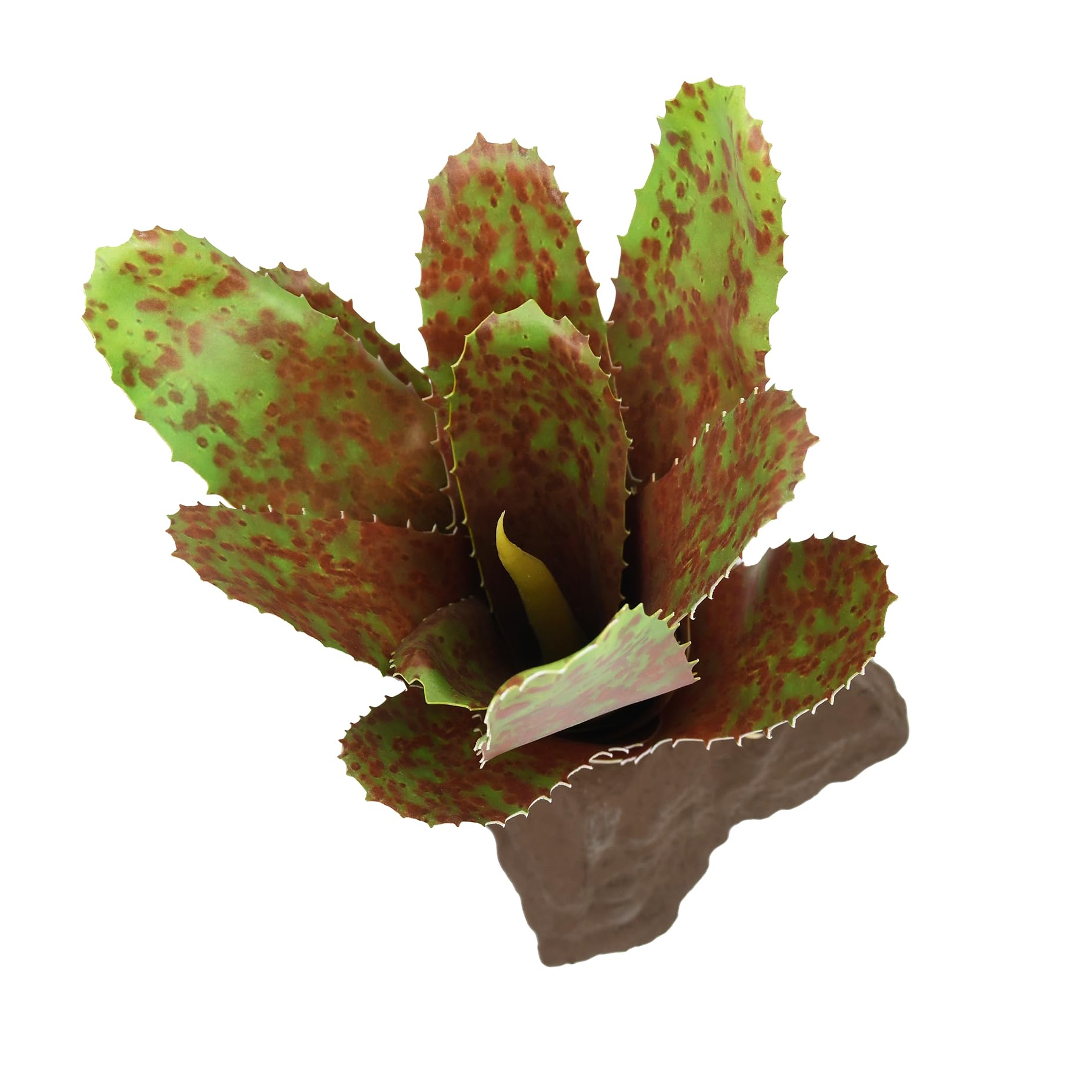 lucky-reptile-scape-it-easy-bromelie-neoregelia-gr-n-ca-20-cm-terrarien-dekopfla image 2