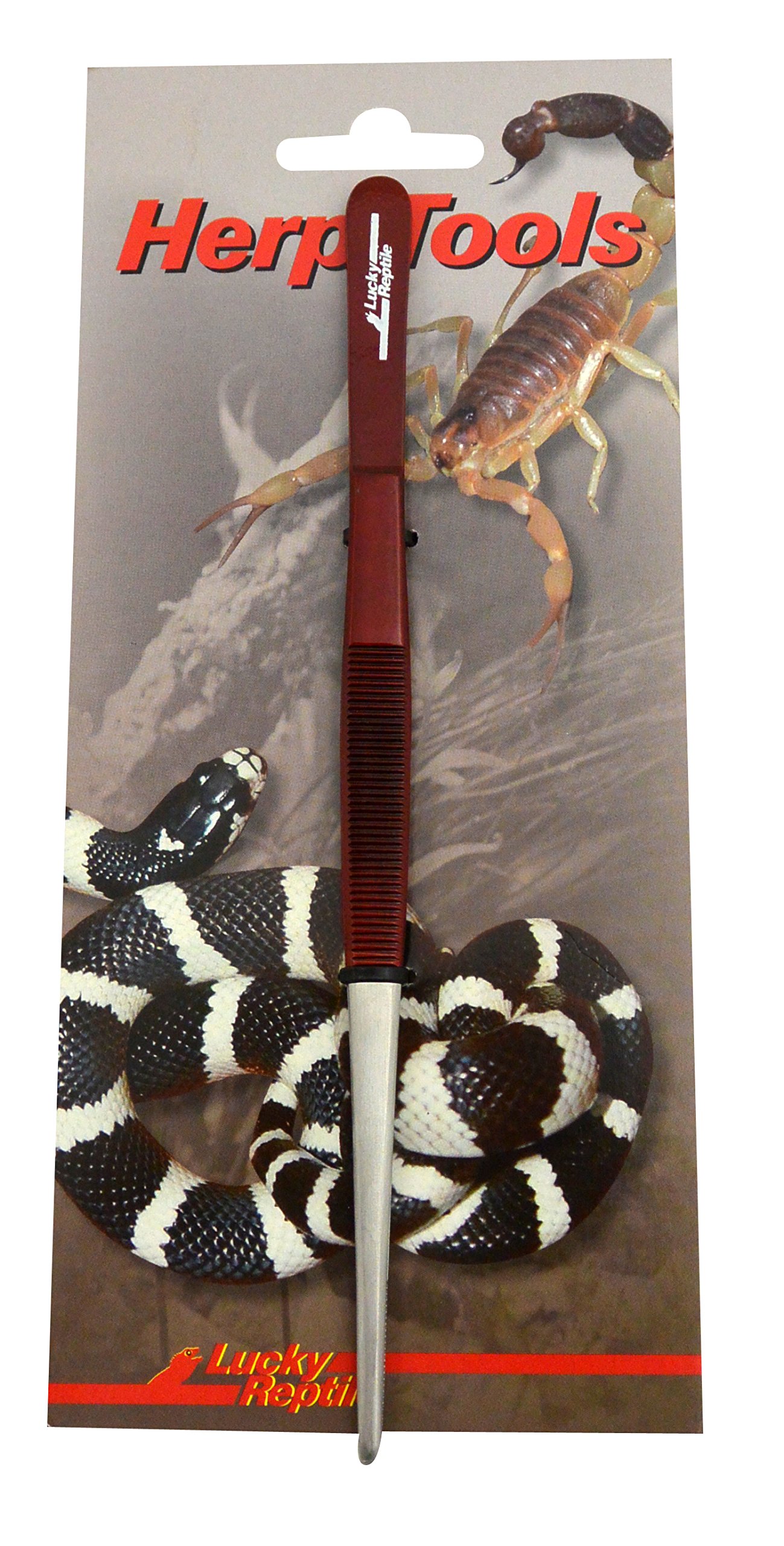 lucky-reptile-futterpinzette-gerade-14-cm-terrarien-pinzette image 2