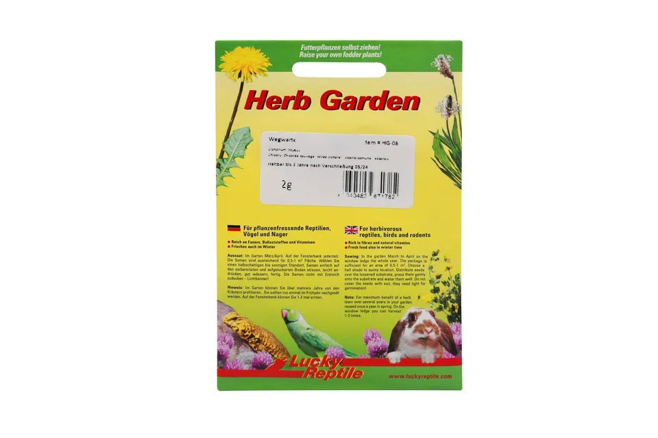 lucky-reptile-hg-08-herb-garden-wegwarte-2-g-samenmischung image 1
