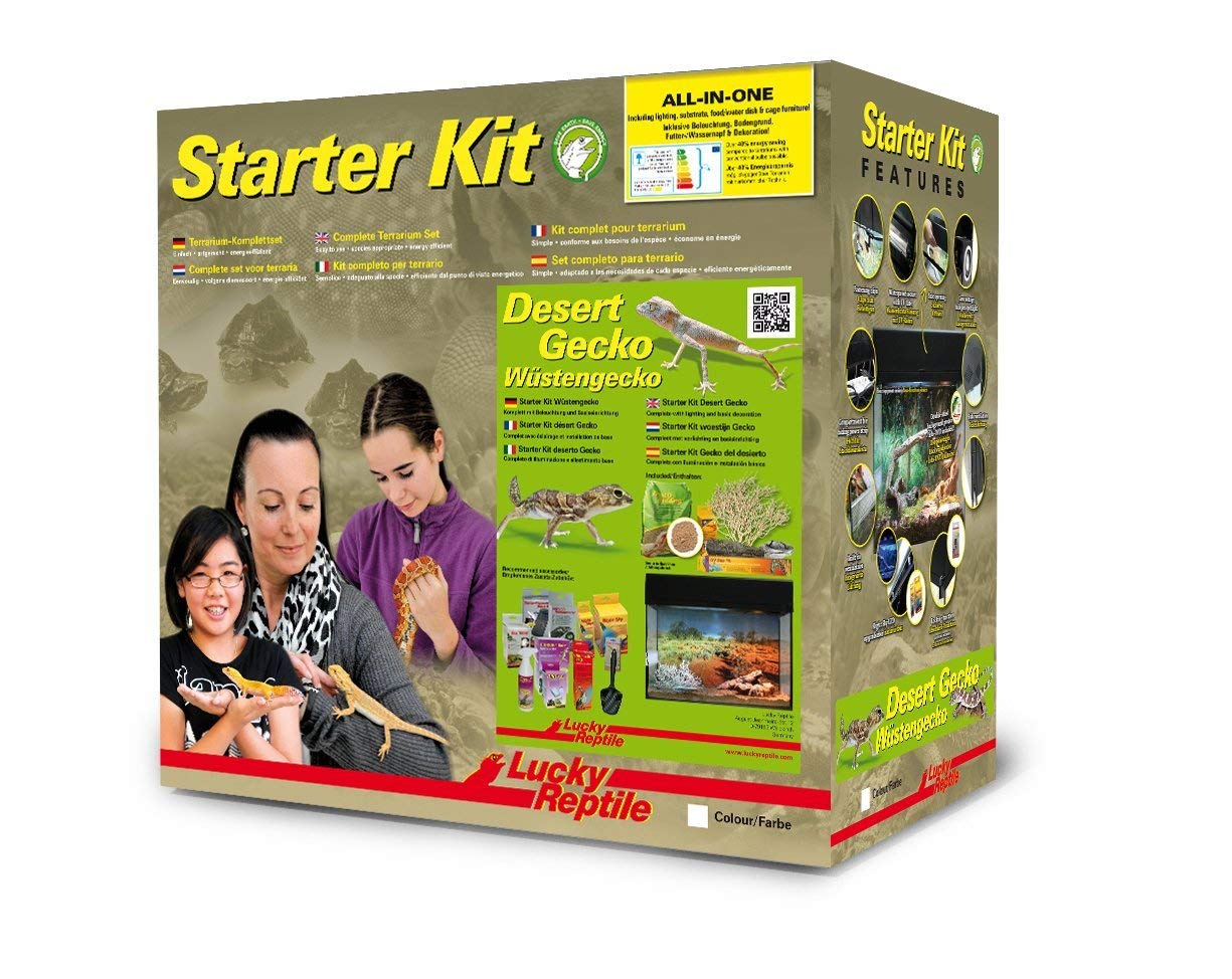 lucky-reptile-starter-kit-w-stengecko-wei-50-x-28-x-40-cm image 2