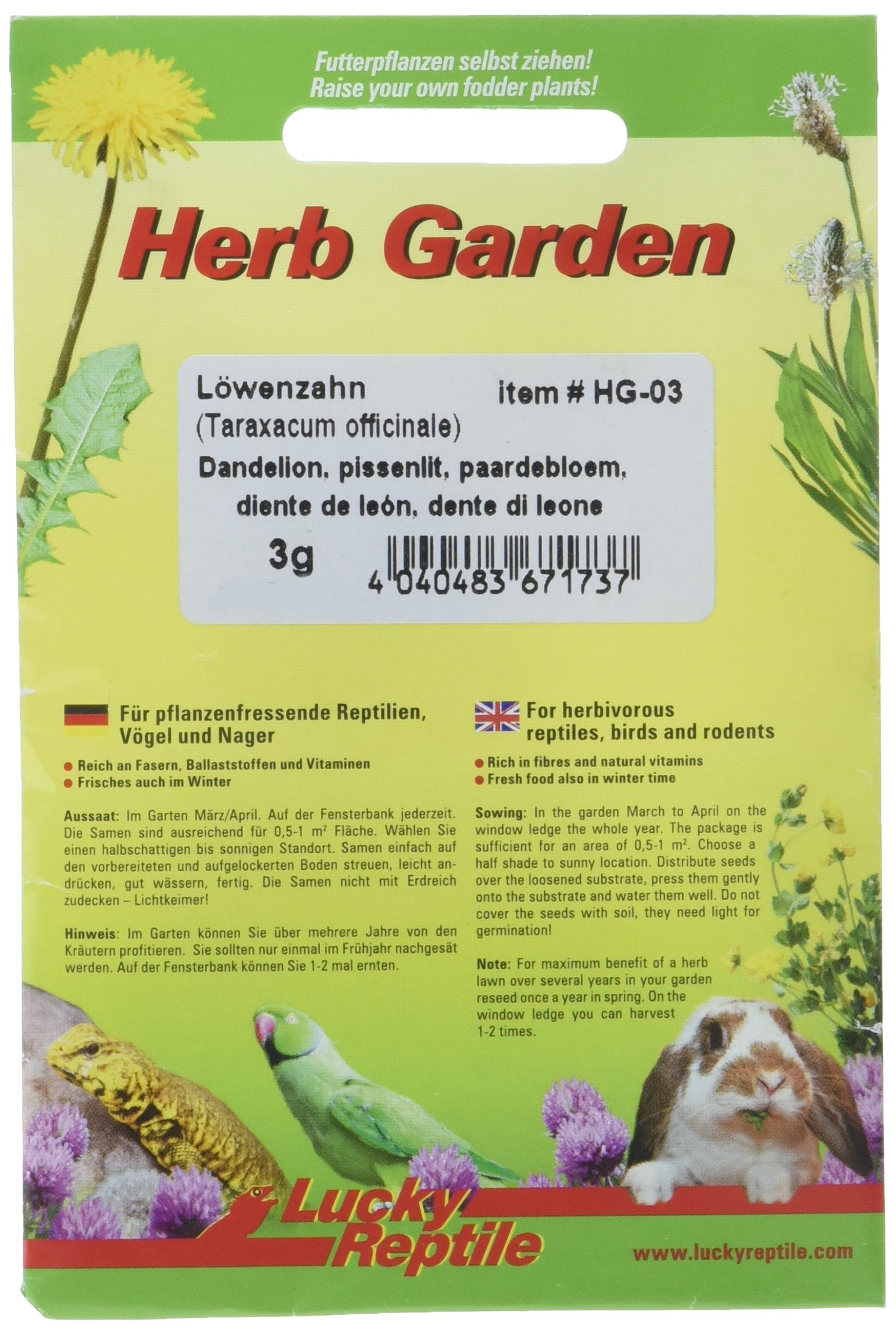 lucky-reptile-herb-garden-hg-05-ringelblume-3-g-futtersamen image 8