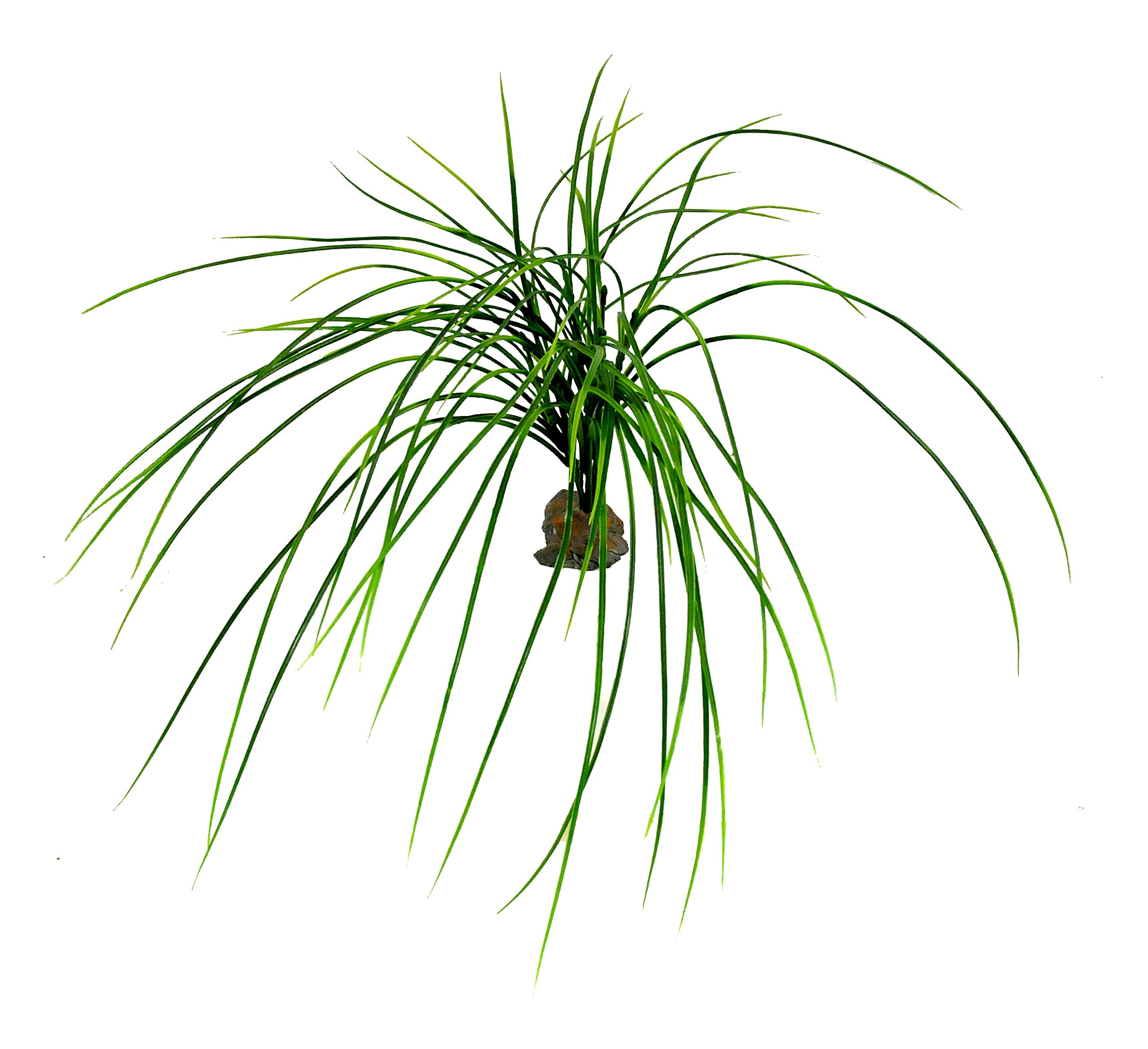 lucky-reptile-kalahari-busch-terrarien-deko-ca-40-cm image 3
