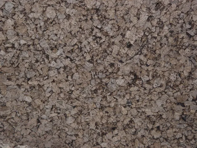 lucky-reptile-schwarzkork-r-ckwand-65315-100-x-50-x-2-cm-1450-g image 1