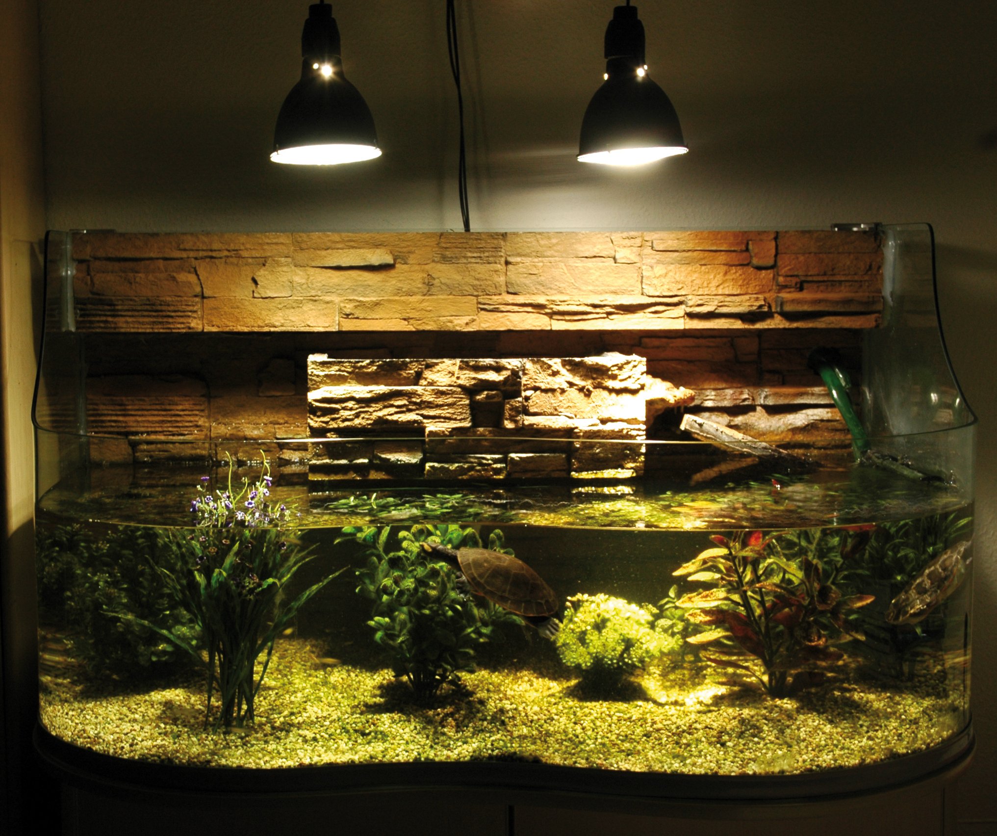 lucky-reptile-bright-sun-turtle-100-watt-uv-w-rmelampe-e27-f-r-wasserschildkr-te image 4