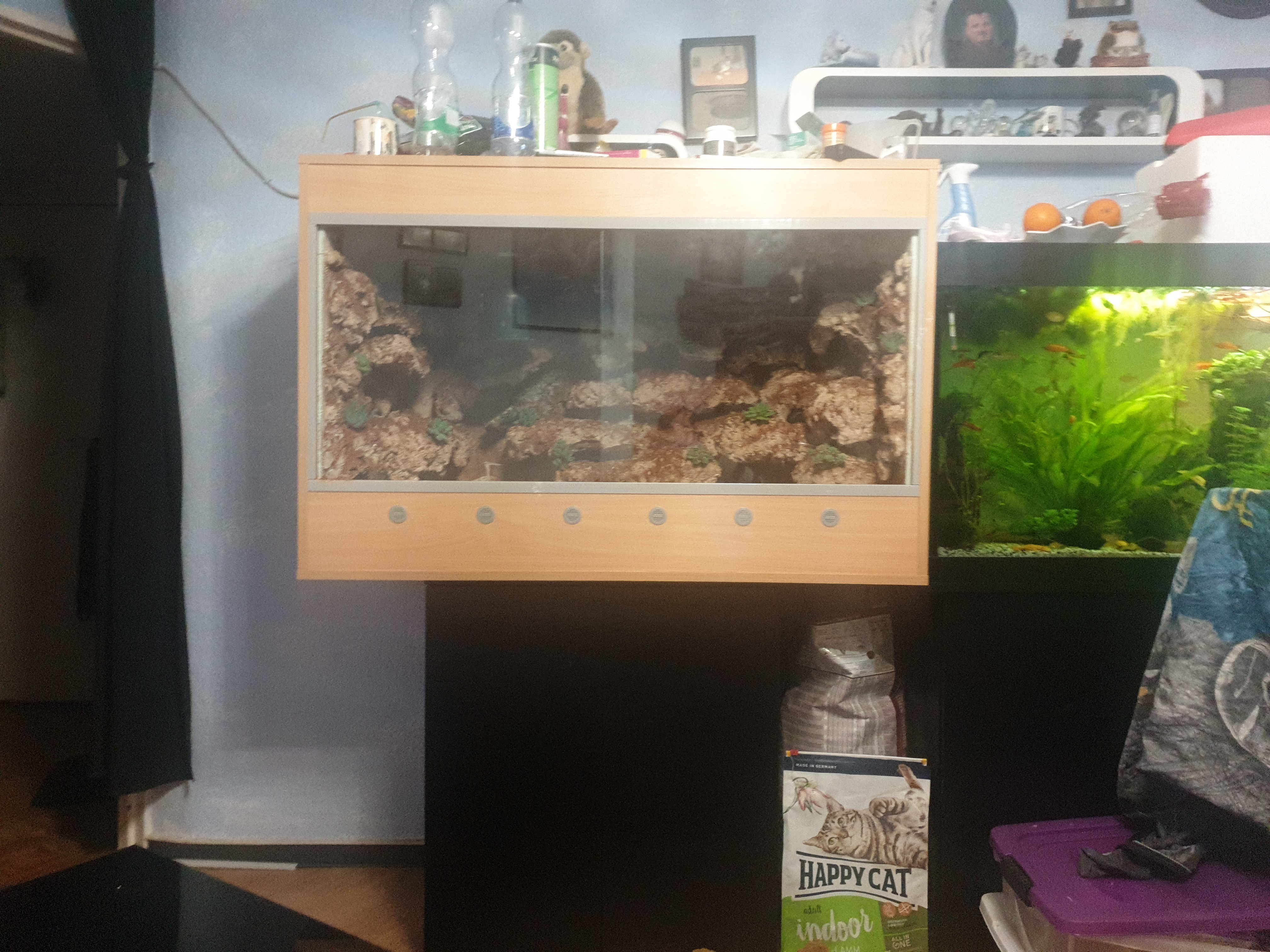 Wunderschönes Möbelterrarium