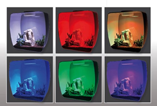 lucky-reptile-ll-1-life-light-multicolor-led-leuchte-f-r-insect-tarrium-life-box image 8