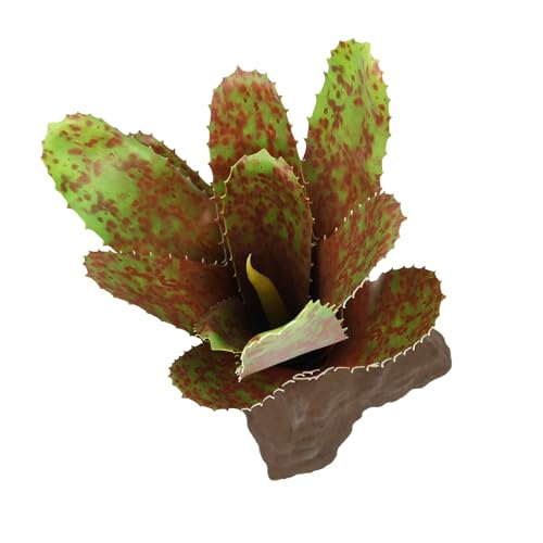 lucky-reptile-scape-it-easy-bromelie-neoregelia-gr-n-ca-20-cm-terrarien-dekopfla image 8