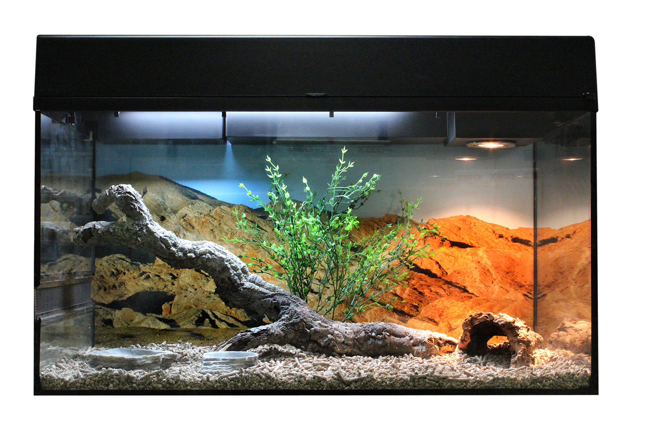 lucky-reptile-starter-kit-bartagame-80-x-40-x-52-cm-schwarz image 4