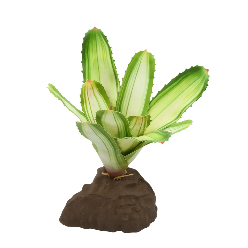 lucky-reptile-scape-it-easy-bromelie-neoregelia-dekopflanze-wei-ca-20-cm image 1