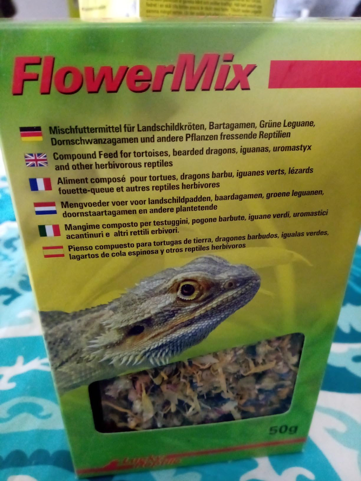 Meine Schildkröte fährt drauf ab