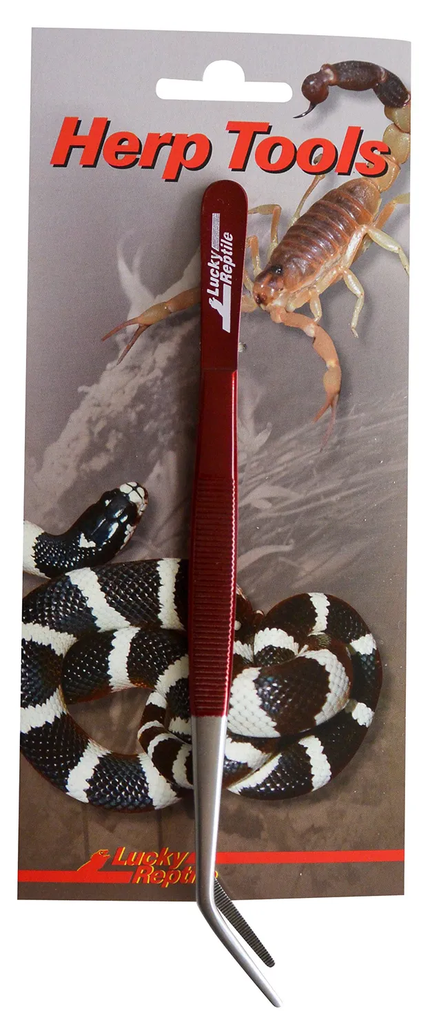 lucky-reptile-futterpinzette-abgewinkelt-20-cm image 1