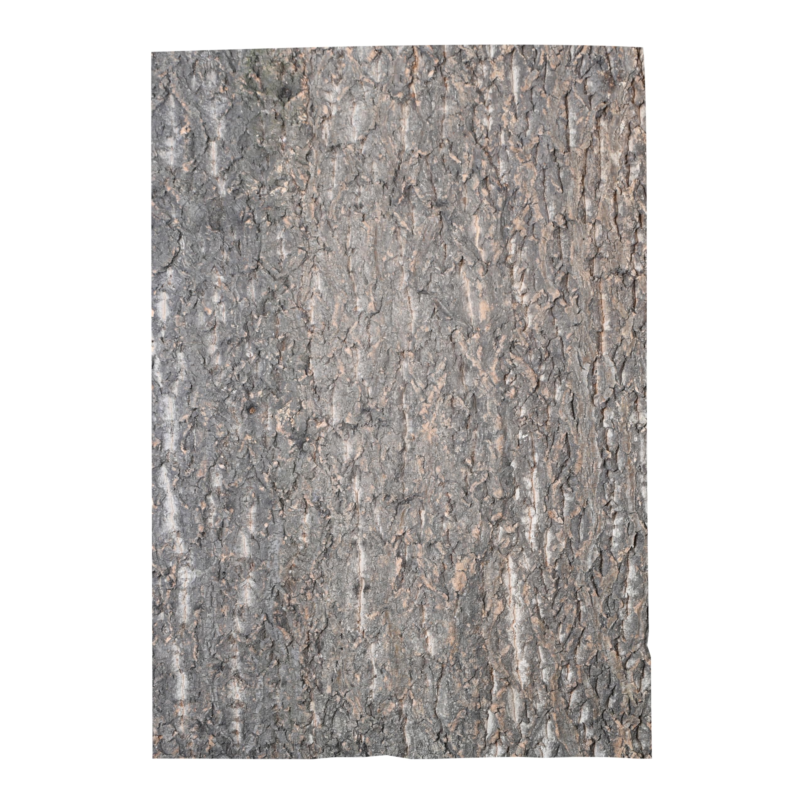 lucky-reptile-korkr-ckwand-desert-60-x-30-cm image 3