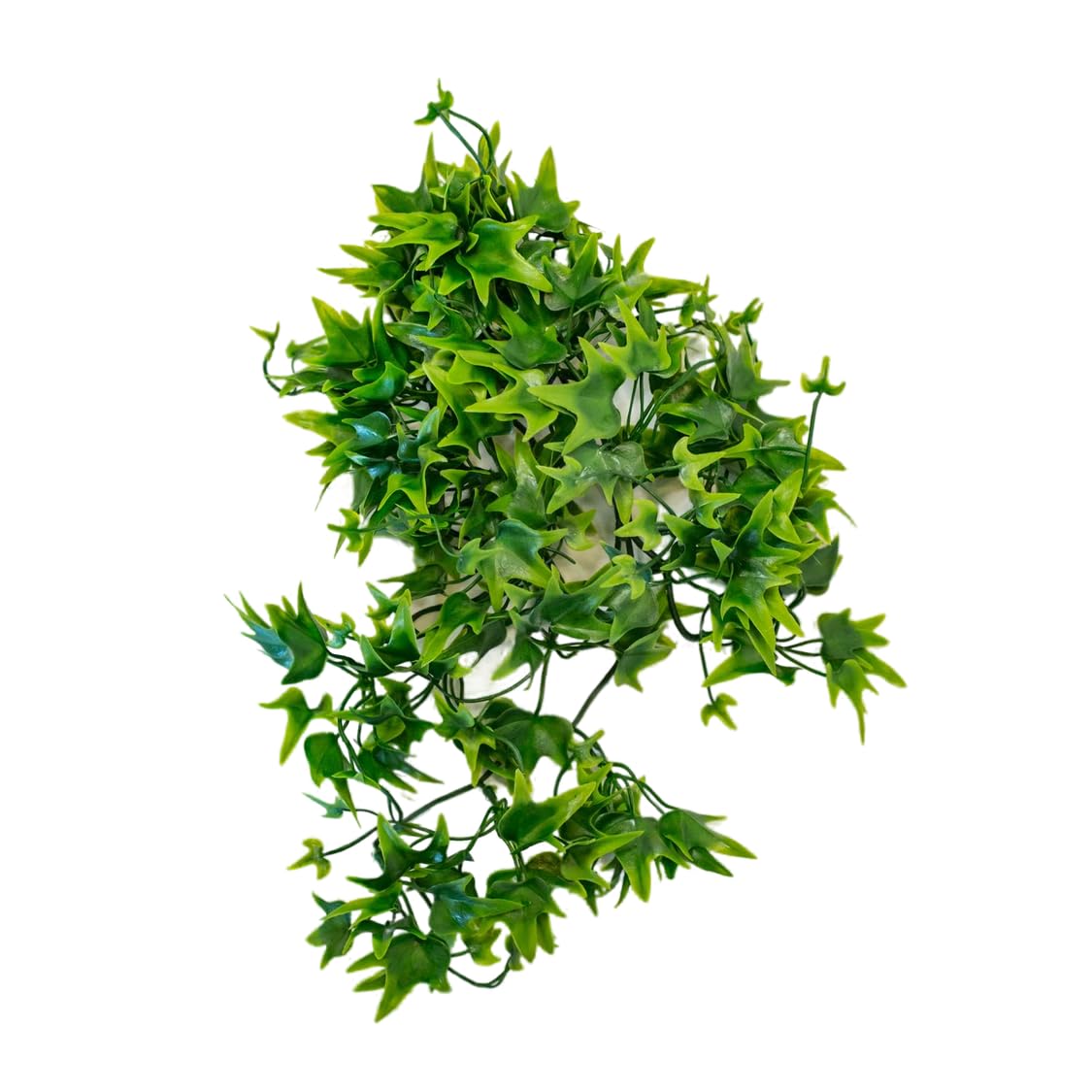 lucky-reptile-64567-efeu-terrarium-h-ngepflanze-150-g-extra-dicht image 2