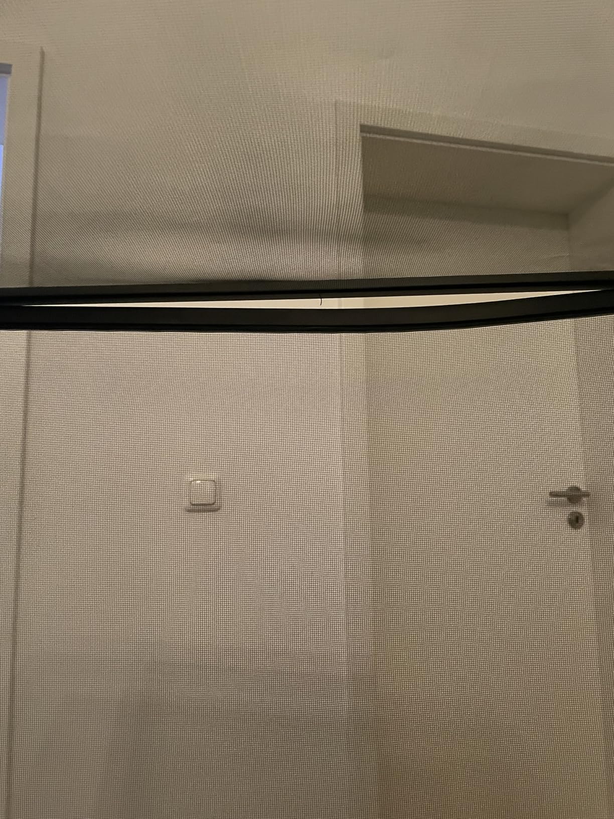 Ideal für Chamäleon