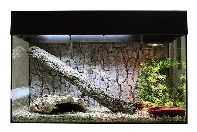 lucky-reptile-schlangen-starter-kit-80-cm-terrarium-komplettset-schwarz image 1