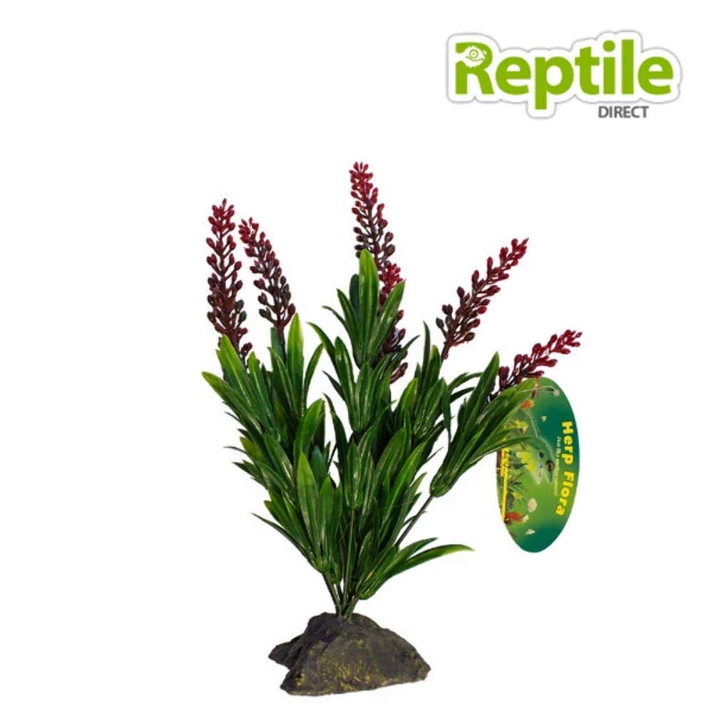 lucky-reptile-tiger-aloe-kunstpflanze-ca-8-cm-auf-steinsockel image 1
