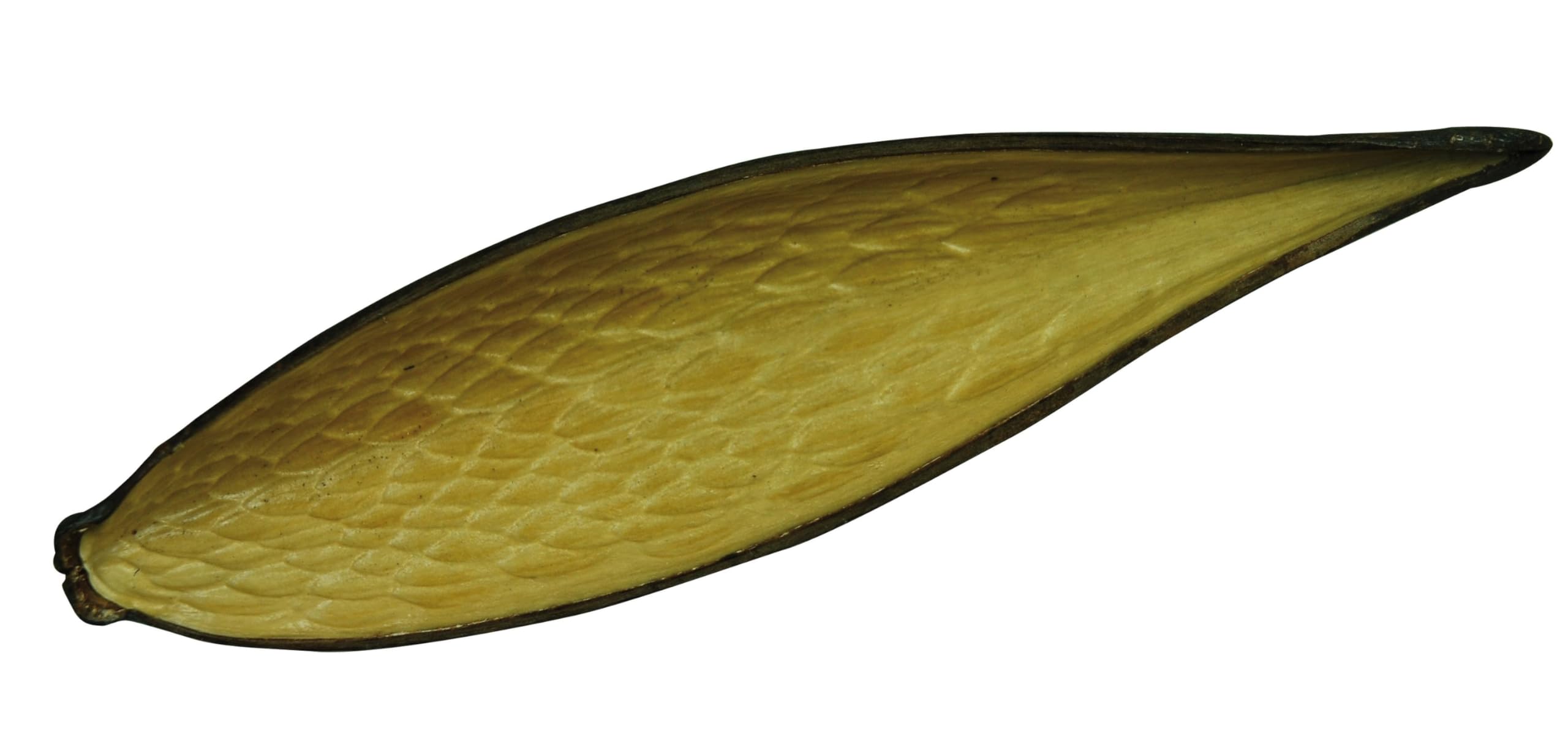 lucky-reptile-db-01-nature-s-treasure-deko-box-terrarien-dekoration-aus-naturmat image 8