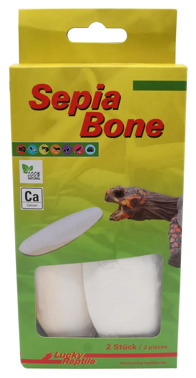 lucky-reptile-sepia-bone-s-doppelpack-unter-16-cm-sepiaschulp image 1