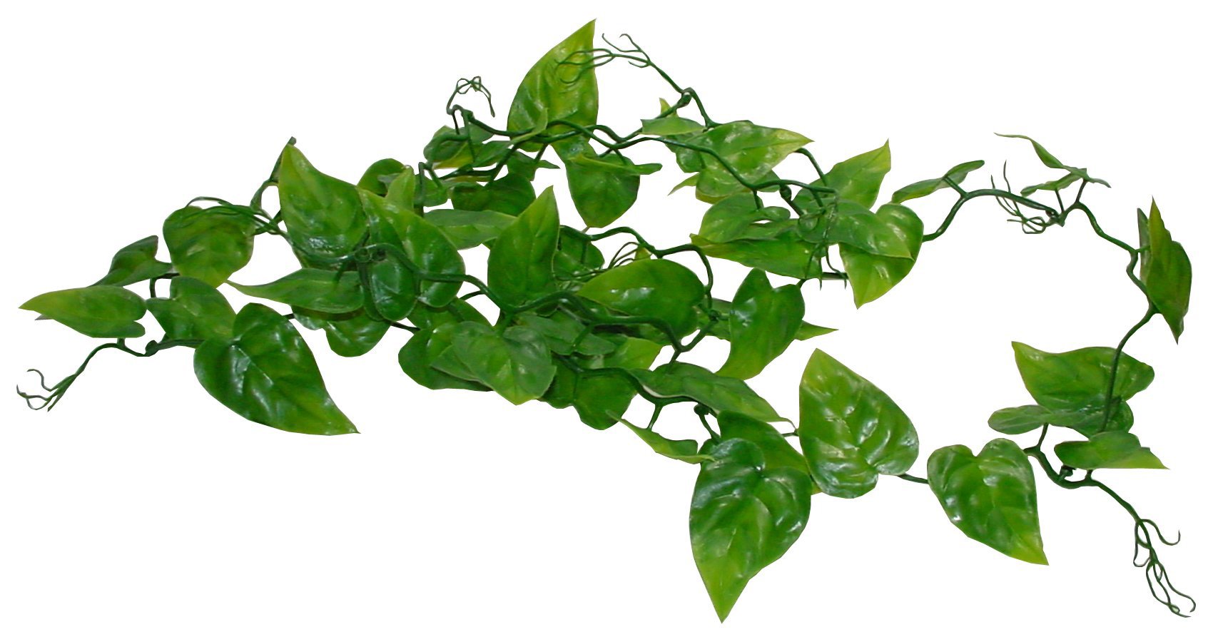 lucky-reptile-rankenpflanze-philodendron-terrarium-ranke-ca-200-cm image 1