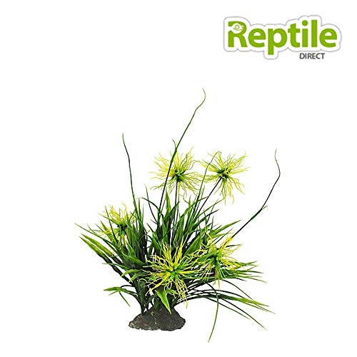 lucky-reptile-tiger-aloe-kunstpflanze-ca-8-cm-auf-steinsockel image 8