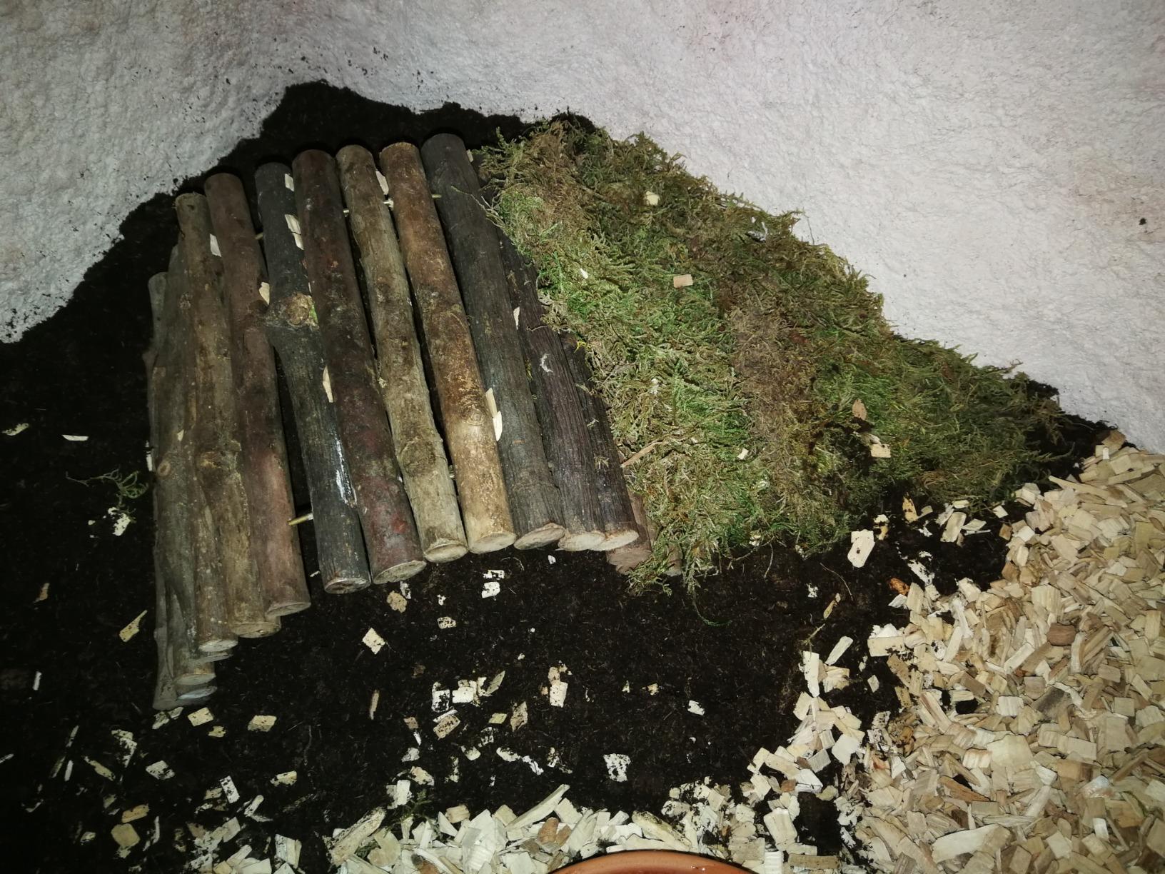 Gute Erde für Schildkröten