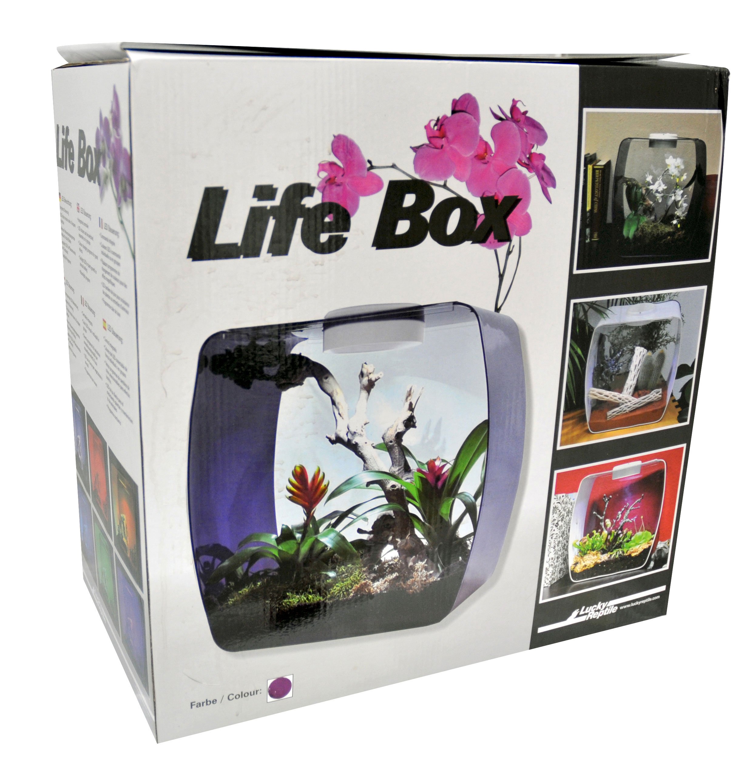 lucky-reptile-life-box-30x18x30-cm-wei-aufzuchtbox-mit-led-und-l-ftung image 4