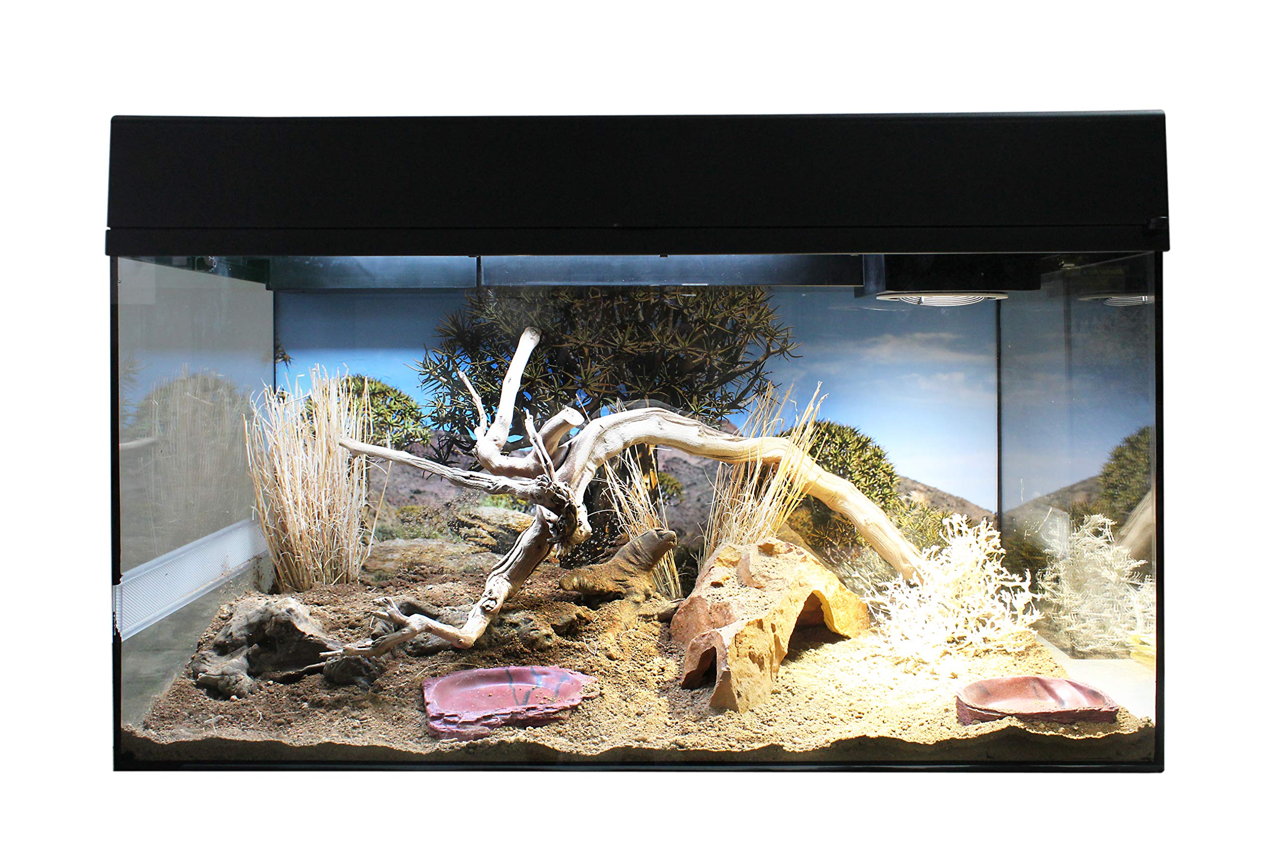 lucky-reptile-water-dish-lava-mini-trinknapf image 3