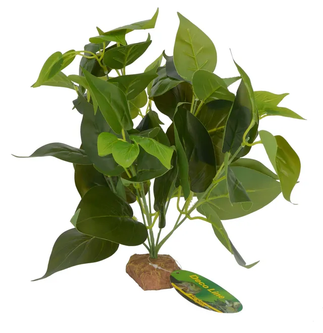 lucky-reptile-64633-golden-pothos-kunstpflanze-ca-30-cm-auf-steinsockel image 1