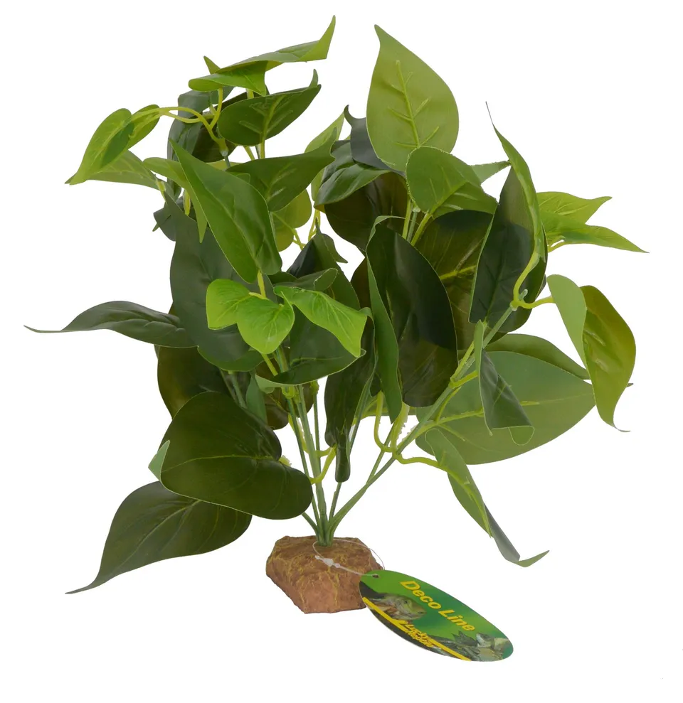 lucky-reptile-64633-golden-pothos-kunstpflanze-ca-30-cm-auf-steinsockel image 1