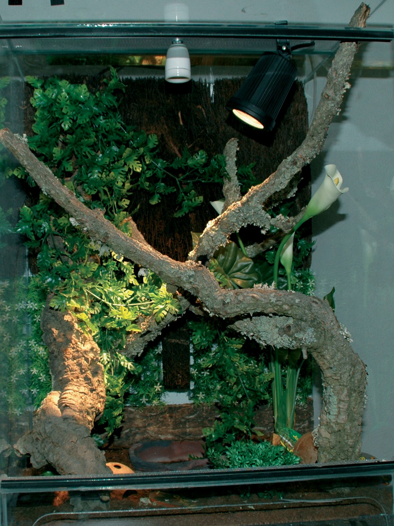 lucky-reptile-jl-1-jungle-lamp-set-wasserdichte-niedervoltleuchte-mit-trafo image 3