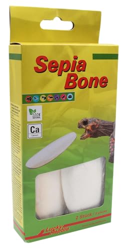 lucky-reptile-sepia-bone-s-doppelpack-unter-16-cm-sepiaschulp image 6