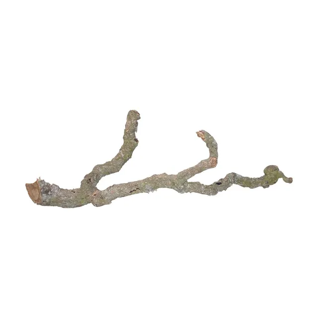lucky-reptile-tronchos-kork-ste-90-120-cm-klettern-deko image 1