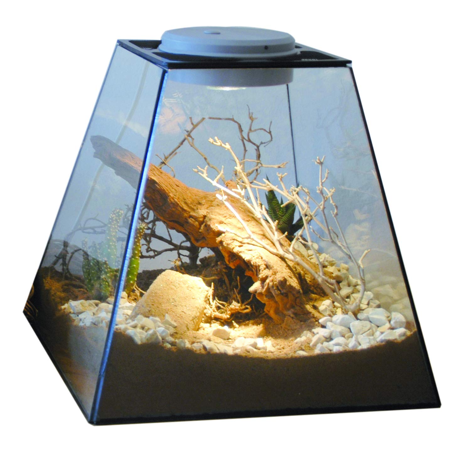 lucky-reptile-life-experience-deco-set-w-ste-terrarium-deko image 4