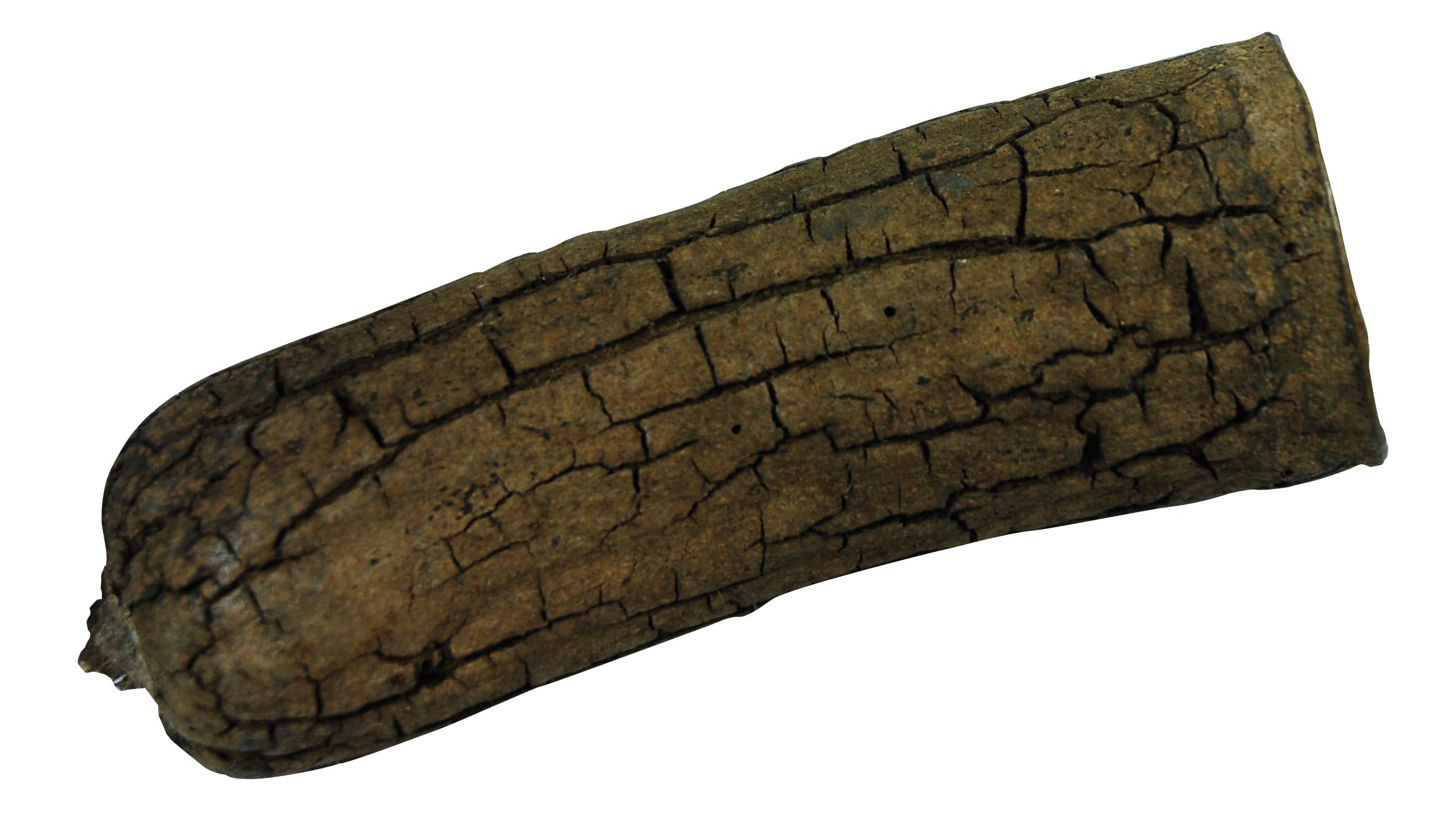 lucky-reptile-db-01-nature-s-treasure-deko-box-terrarien-dekoration-aus-naturmat image 5