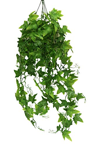 lucky-reptile-h-ngepflanze-efeu-kunstpflanze-60-cm-f-r-terrarien image 5