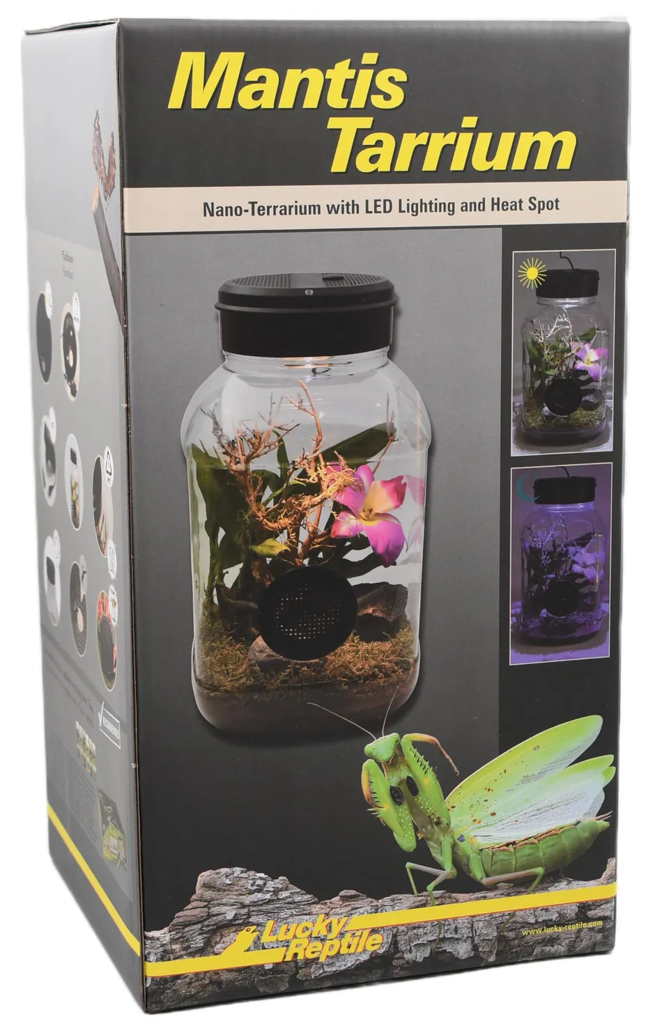 lucky-reptile-mantistarrium-kleinterrarium-18-x-18-x-35-cm-f-r-gottesanbeterinne image 1