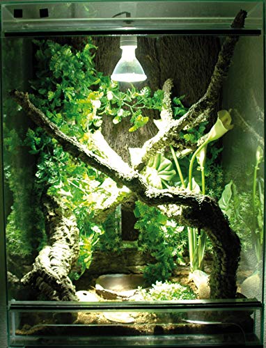 lucky-reptile-bright-control-evo-vorschaltger-t-35-watt image 8